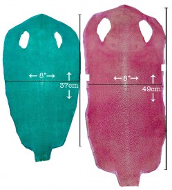 Stingray Leather Sanded